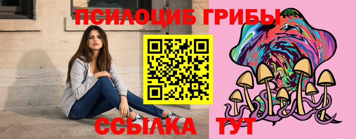 Ишимбай  Галлюциногенные грибы MAGIC MUSHROOMS  Псилоцибиновые грибы Psilocybe  Вход с VPN 